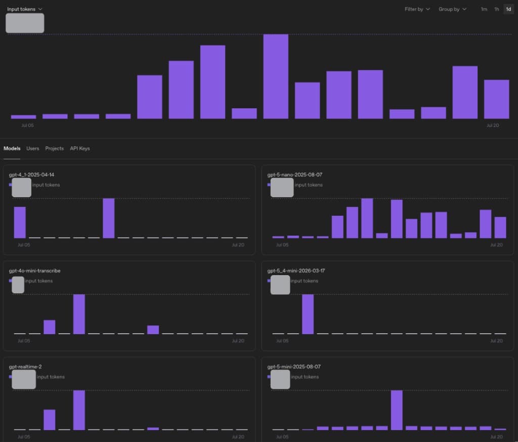 OpenAI usage dashboard: input tokens over time by model, with tabs for Users, Projects, and API Keys, but no breakdown by your features or customers